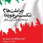 کتاب صوتی چرا ملت ها شکست می خورند 🎧